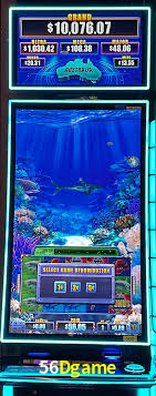 Bônus Diários 56Dgame